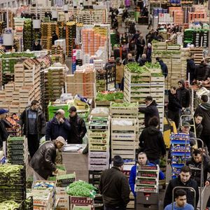 Etalé sur 234 hectares au sud de Paris, le marché international de Rungis constitue le plus grand marché de produits frais au monde.