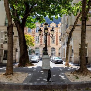 A 24.272 euros du mètre carré au 1er mars 2024, cette rue est la plus chère de France.