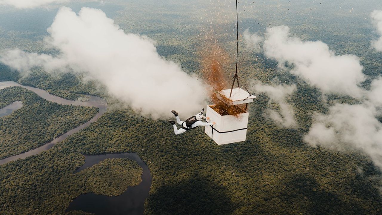 À plus de 4.000 mètres de haut, le parachutiste Luigi Cani est accroché à un caisson d'un mètre cube, libérant 100 millions de graines issues de 27 espèces d'arbres indigènes, en janvier 2022.