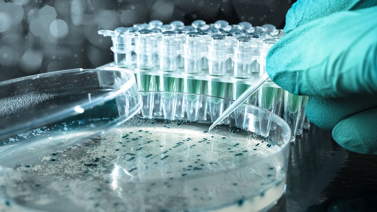 Le secteur des biotechs ne se limite pas qu'aux produits pharmaceutiques tels que l'ARN messager. Les bio-engrais, les bioplastiques ou encore les biotextiles en font aussi partie.