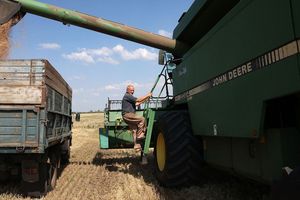 Récolte du blé en Ukraine. Kiev recevrait 85 milliards d'euros au titre de la PAC sur une période de sept ans, a calculé l'institut Bruegel.
