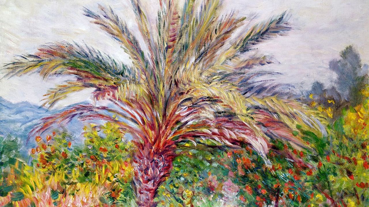 « Palmier à Bordighera» (vers 1884), Claude Monet.