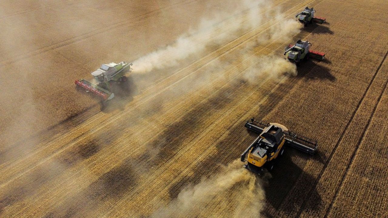 Récolte du blé dans la région d'Omsk, en Russie.  Nous avons constaté une hausse considérable de ces importations en 2023 , a déclaré Valdis Dombrovskis, le commissaire européen au Commerce.