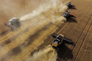 Récolte du blé dans la région d'Omsk, en Russie. « Nous avons constaté une hausse considérable de ces importations en 2023 », a déclaré Valdis Dombrovskis, le commissaire européen au Commerce.