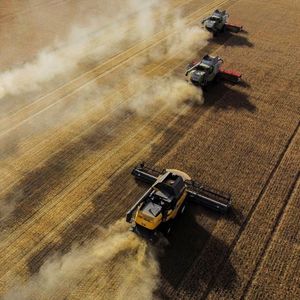 Récolte du blé dans la région d'Omsk, en Russie. « Nous avons constaté une hausse considérable de ces importations en 2023 », a déclaré Valdis Dombrovskis, le commissaire européen au Commerce.
