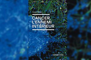 « Cancer, l'ennemi intérieur », de Jacques Robert. CNRS Editions, 352 pages, 25 euros.
