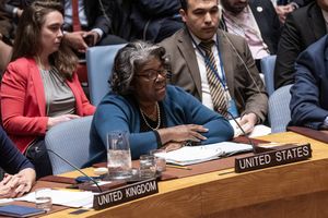 Les Etats-Unis, qui ont opposé trois fois leur veto à une résolution de l'ONU en raison de leur désaccord quant à l'emploi du terme « cessez-le-feu », se sont finalement abstenus, permettant au Conseil d'adopter la résolution avec les voix des 14 membres restants.