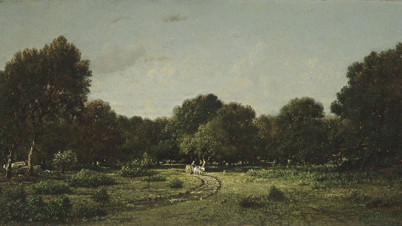 Certains tableaux exposés sont d'une beauté ahurissante, comme cette « Clairière dans la Haute Futaie, forêt de Fontainebleau ».