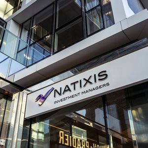 Natixis IM bénéficie depuis deux ans des bonnes performances de son spécialiste de l'obligataire DNCA, racheté en 2015.