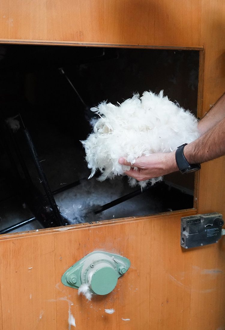 Dans l'usine Drouault, au Mans. Les plumes de canard et d'oie qui garnissent ses oreillers, couettes et surmatelas proviennent d'élevages vendéens et du Sud-Ouest. 