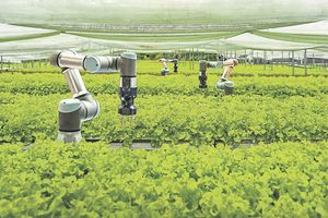 RobAgri, une association qui regroupe plus de 90 acteurs de la robotique agricole, a déjà fait appel à France Expérimentation.