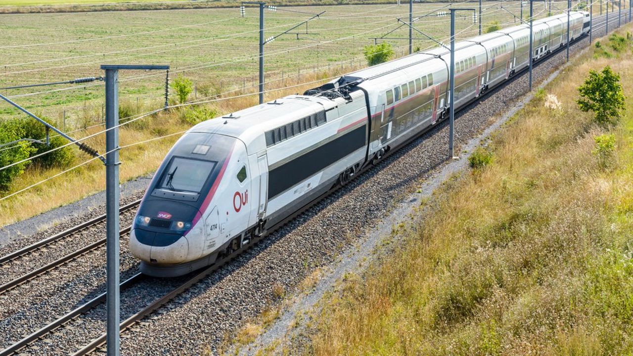 Le coût estimatif de cette ligne nouvelle mixte (fret et grande vitesse) composée de 52,3 km de ligne nouvelle à double voie, est à ce jour fixé à 2 milliards d'euros.
