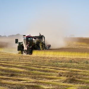 Pour les syndicats agricoles, la souveraineté alimentaire s'entend comme une maximisation de la production agricole, destinée à la fois à consommation interne et aux exportations.