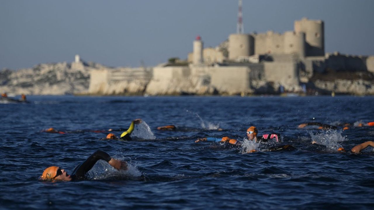 Pendant trois jours, du 31 mai au 2 juin, les nageurs s'affronteront sur un à six kilomètres, avec ou sans palmes.