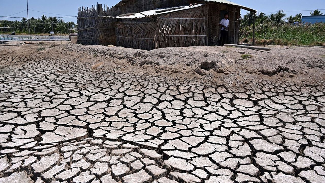 Le Vietnam a vécu en mars 2024 une importante sécheresse et des pénuries d'eau.