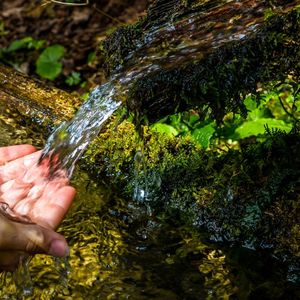 « Voilà plusieurs années que les sociétés d'eau minérale s'inquiètent de la dégradation de leurs sources et tentent de la masquer. »