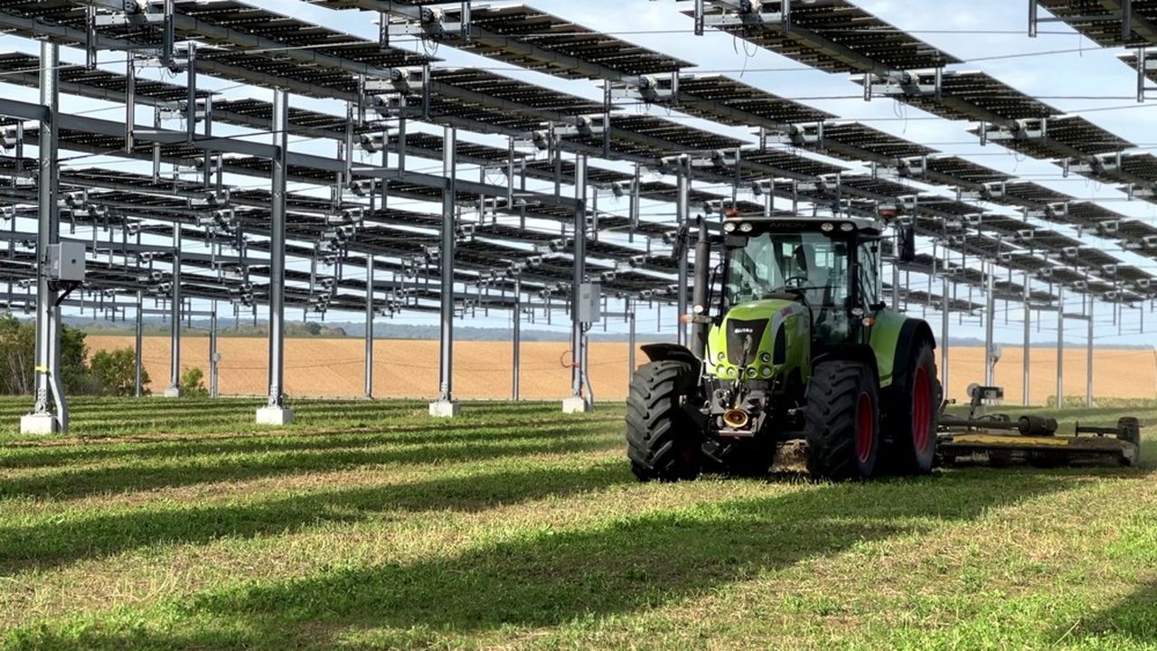 A Verdonnet, l'installation de panneaux solaires à 5 mètres de haut laisse passer les engins agricoles dessous.