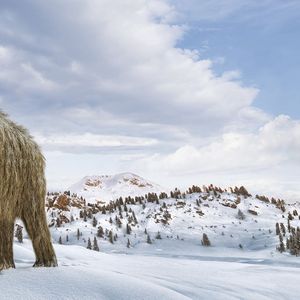 Un mammouth laineux piétinant le manteau neigeux de Sibérie : cette vignette deviendra-t-elle la réalité d'ici à la fin de la décennie ? Les dirigeants de Colossal Biosciences l'affirment.
