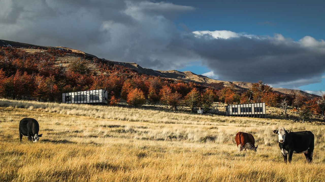 L'hôtel Relais & Châteaux « Awasi Patagonia », dans le sud du Chili, avec ses villas fondues dans la nature, une adresse « tout compris » version luxe.