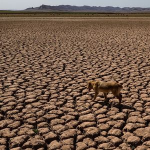 Le réchauffement climatique (ici au Maroc) est un des risques extrêmes qui va s'accentuer pour les populations, les économies et les entreprises.