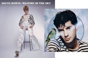 Parmi les vinyles convoités, « Waiting In The Sky » de David Bowie et « La Note, La Notte » d'Etienne Daho en version picture disc.