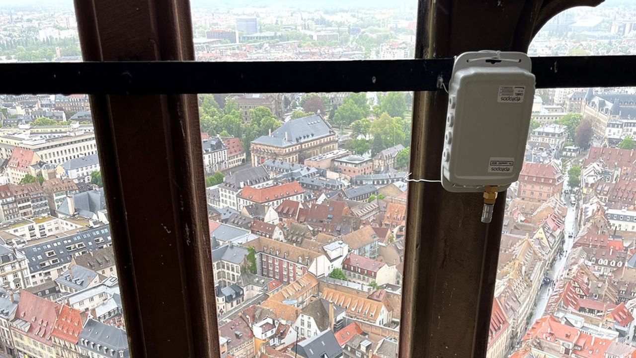 Des capteurs et des sondes sont posés sur la flèche de la cathédrale de Strasbourg.