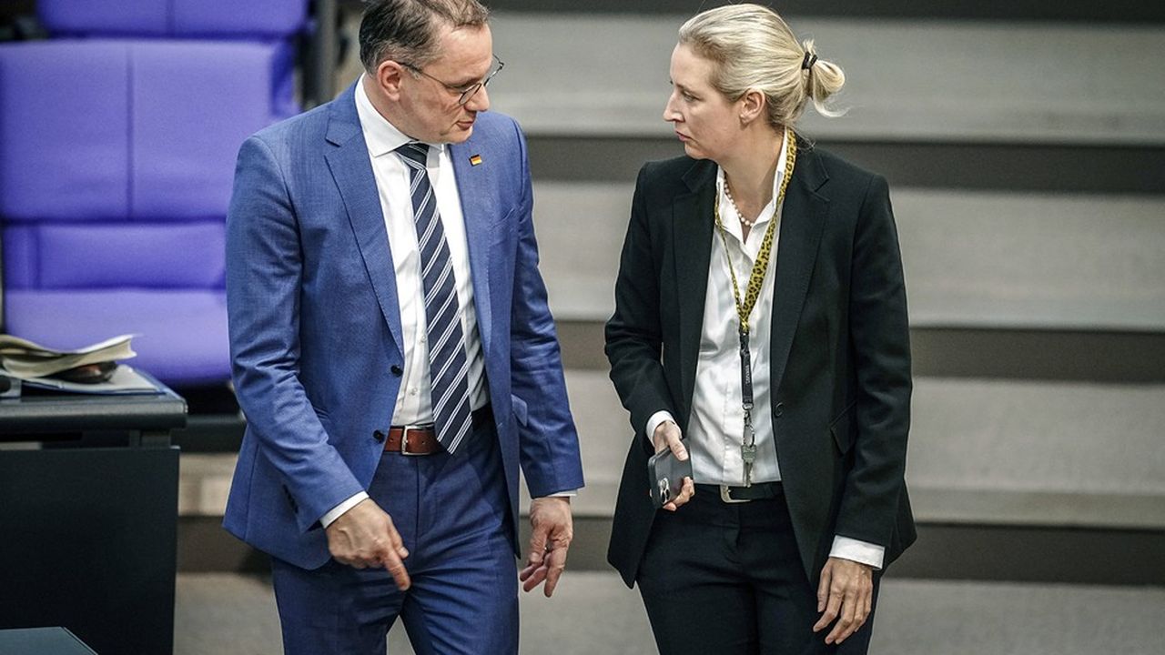 Les deux leaders de l'AfD, Tino Chrupalla et Alice Weidel, au Bundestag en janvier 2024.