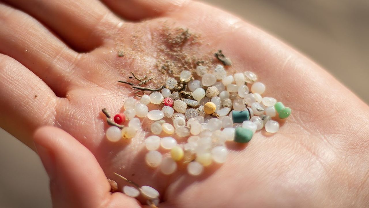 Des microbilles de plastique sont régulièrement retrouvées sur le littoral. 