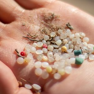 Des microbilles de plastique sont régulièrement retrouvées sur le littoral. 