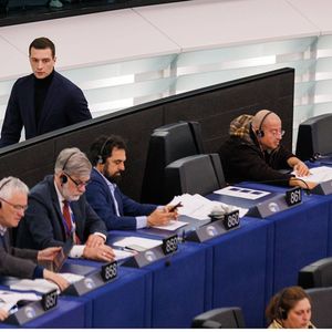 Le groupe du RN au Parlement européen est sous tension, en raison des rapports très tendus avec l'extrême-droite allemande.