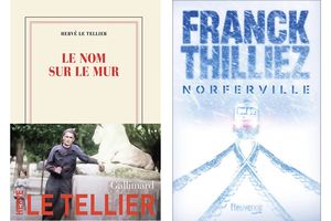 Un hommage à un jeune maquisard, un polar dans le grand nord canadien, un grand Alexandre Dumas… La sélection livres de la semaine.