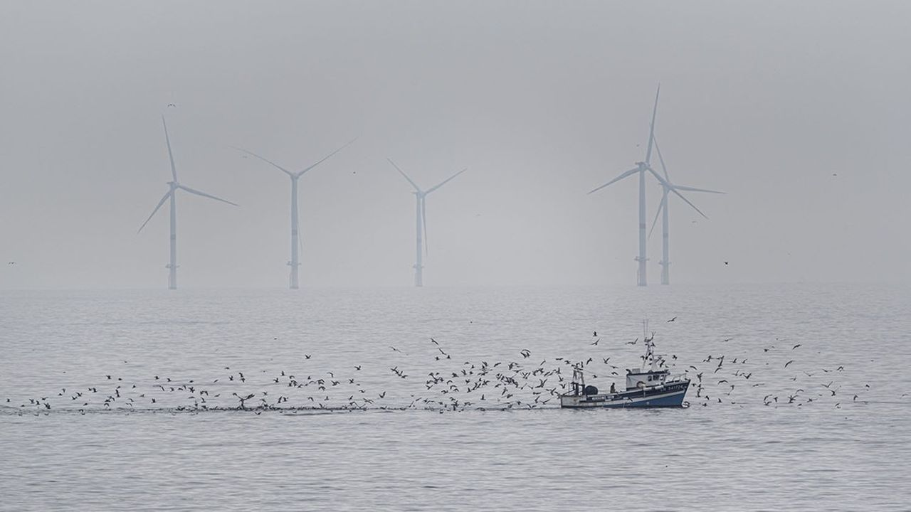 Parc éolien offshore d'EDF au large de Saint-Nazaire, un chalutier remonte ses filets au large du champ