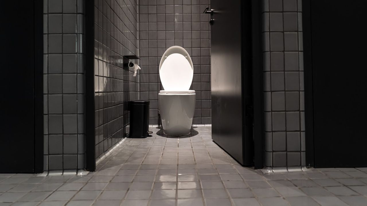 Dernier sanctuaire de l'intimité, le WC est un impensé de la réflexion sur la marche du monde.