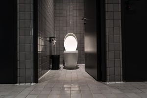 Dernier sanctuaire de l'intimité, le WC est un impensé de la réflexion sur la marche du monde.
