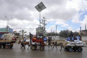 Les Palestiniens fuient Rafah, le 6 mai. Tsahal a largué lundi des milliers de tracts, envoyé des SMS, joint par téléphone quelque 100.000 Palestiniens habitants et réfugiés dans un quartier de Rafah pour les appeler à quitter le plus vite possible les lieux.