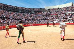 Cinq corridas vont se succéder lors de la Feria de Pentecôte à Nîmes, ce week-end.
