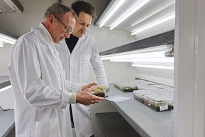 Fondée en 2019, Green Impulse développe et commercialise des solutions de biocontrôle pour l'agriculture biologique.