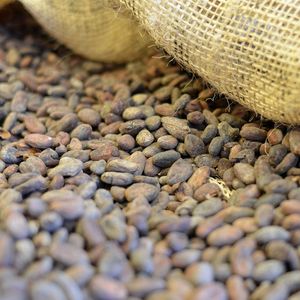 Le gérant spécialisé dans les matières premières Pierre Andurand juge possible de voir le cacao remonter à 20.000 dollars.