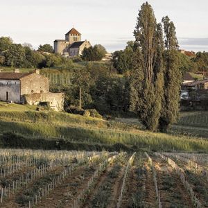 Déjà 25 AOC Bordeaux, Languedoc, Corbières, Champagne, ou Côtes de Provence se sont portées candidates pour tester de nouveaux cépages. 