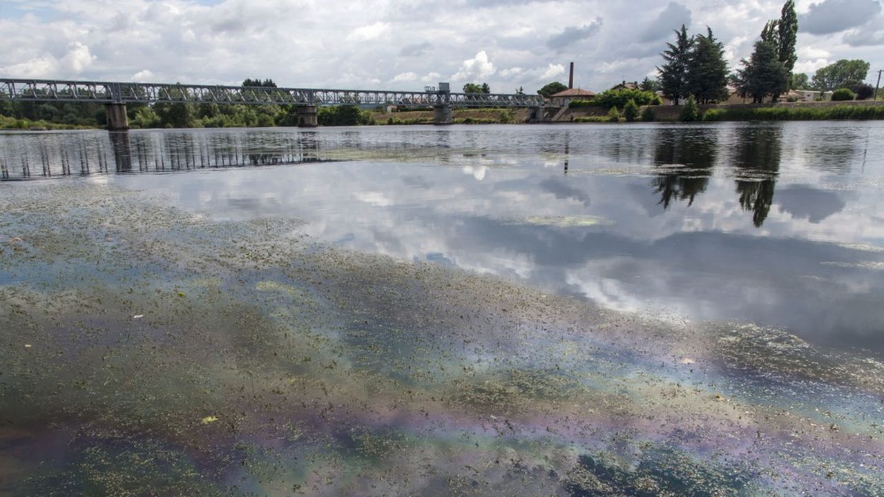 La présence du TFA dans les fleuves français pourrait poser problème pour la production d'eau potable.