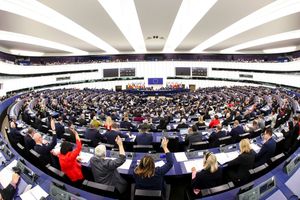 « Quel doit être le rôle d'un eurodéputé dans un Parlement européen réellement démocratique ? ».