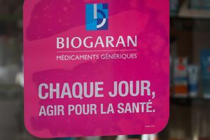 Biogaran détient 32 % du marché français des génériques, une boîte de médicaments sur huit vendue en France porte son logo et il a une marque forte fondée sur une production à 90 % européenne. Mais aucun Français n'est candidat à sa reprise.