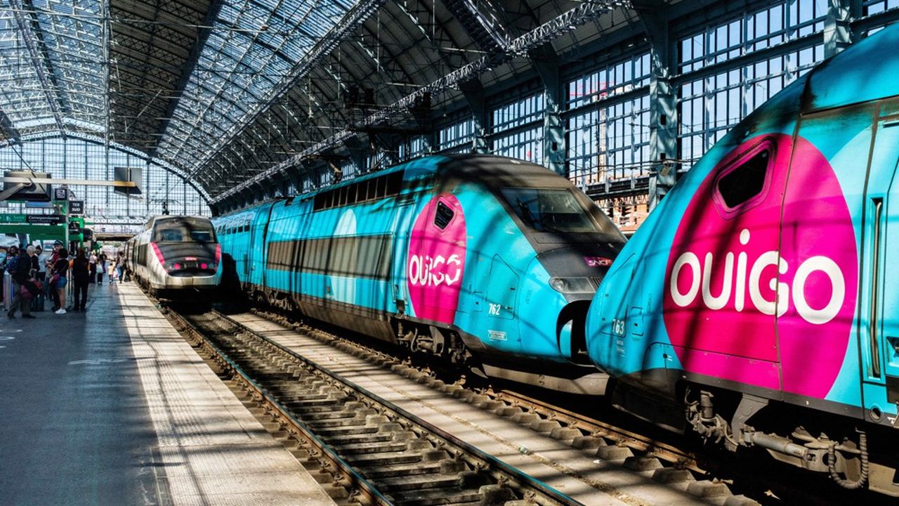 La flotte de TGV Ouigo, compte 38 rames utilisées de manière intensive, qui va s'accroître de 12 TGV supplémentaires d'ici à 2027.