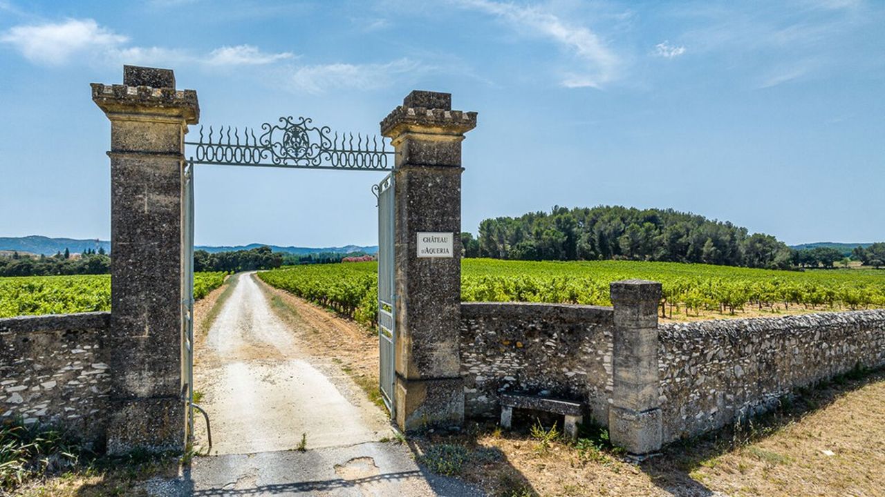 Niché au coeur de la garrigue, le vignoble du château d'Aqueria, aux terres argilo-sablonneuses, produit des grands vins rosés.