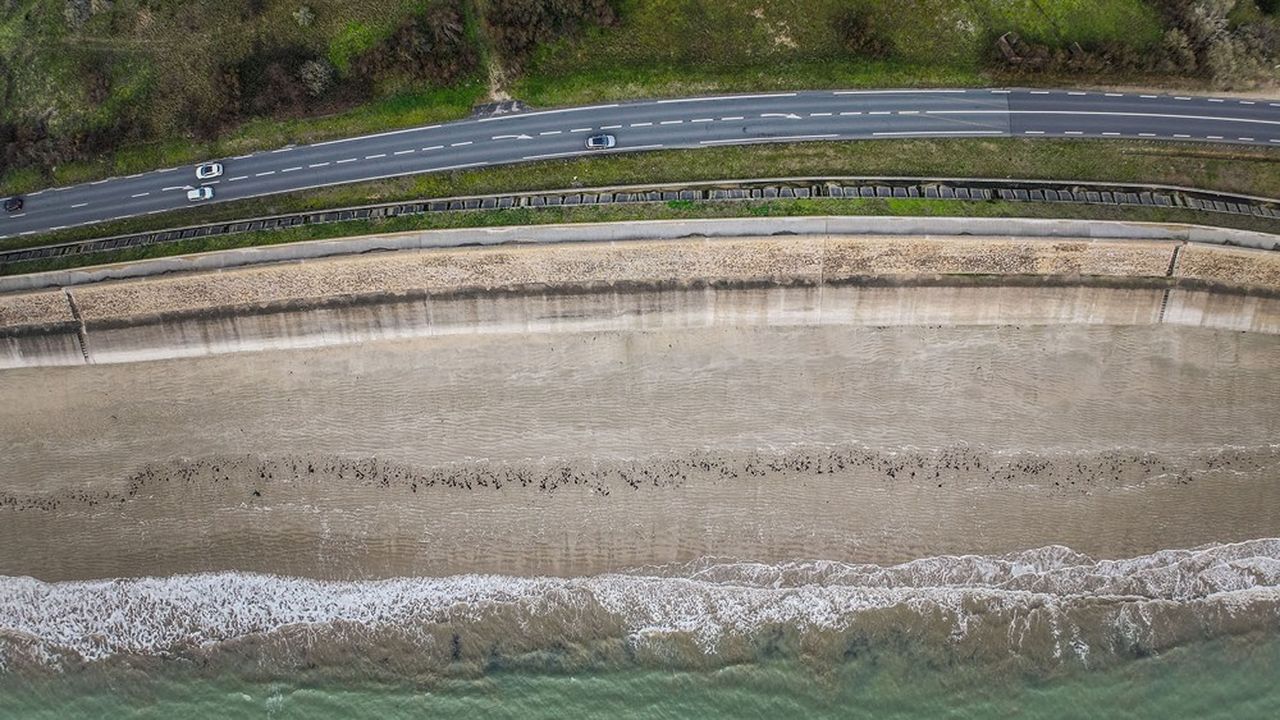 Crise climatique : comment les territoires s'adaptent