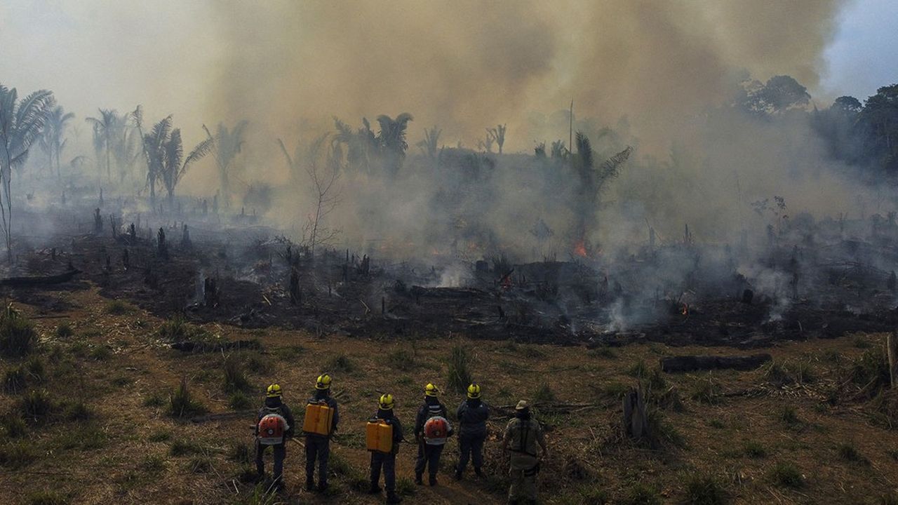 Brasil: Incêndios na Amazônia atingem o maior nível em vinte anos