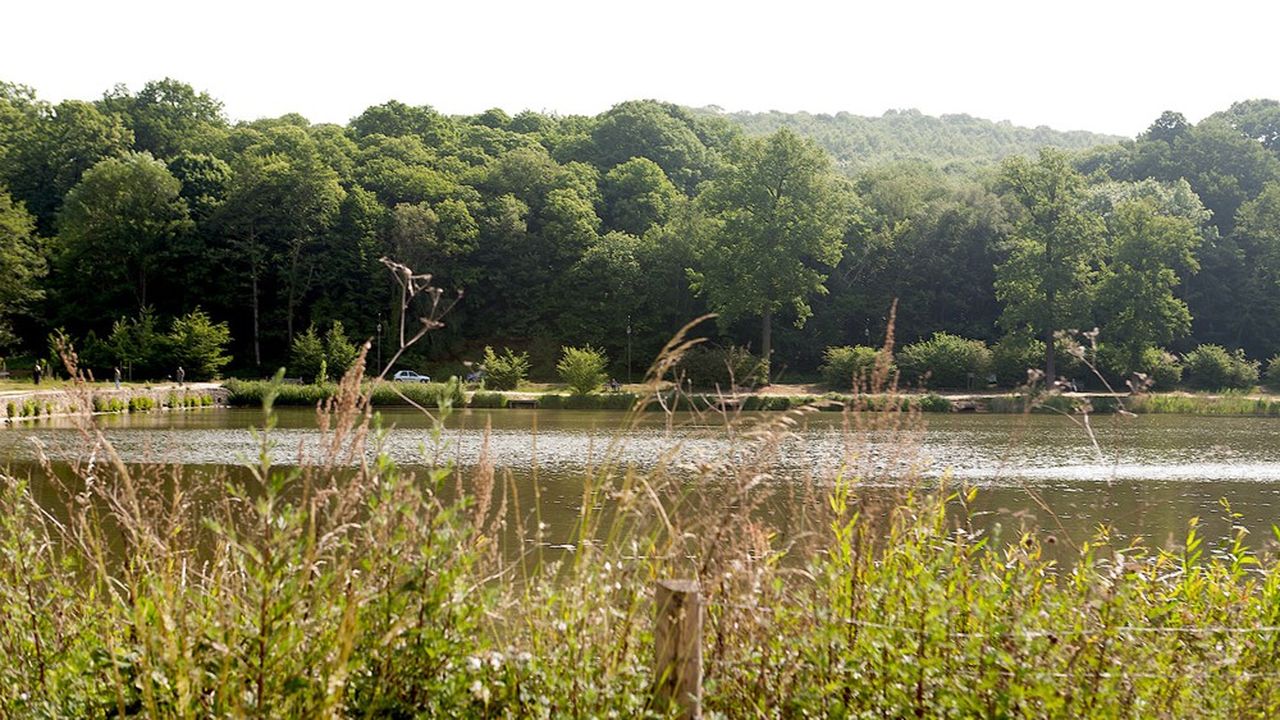 La forêt de Meudon, sur 1.100 hectares, est la plus vaste des Hauts-de-Seine