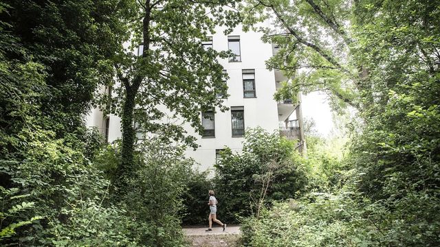 Canicule : comment les villes peuvent gagner quelques degrés en moins