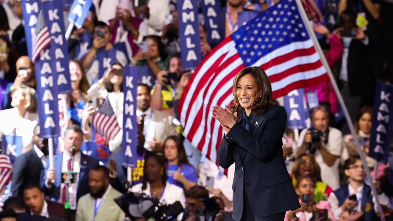 2024 US Presidential Election: Kamala Harris Promises to Fight for All Americans