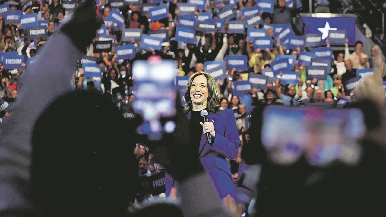 2024 US presidential election: Kamala Harris, the rallying strategy